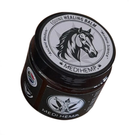 Equine Soothing Balm 100g | Natural Hemp‑Infused Horse Care by Medihemp